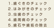 1.歯ぐきのチェック2.はみがきのチェック3.虫歯のチェック4.歯周病のチェック5.歯石や歯垢の除去