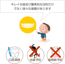 キレイな歯並び審美的な目的だけ